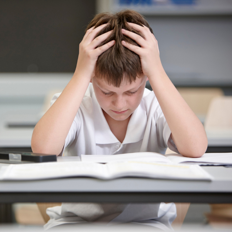 EHCP/SEN Services - boy struggling at school